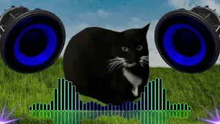 MAXVELL CAT PHONK ⚠️BASS BOOSTED⚠️