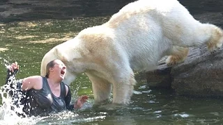 10 People who Fell into Animal Enclosures at Zoos