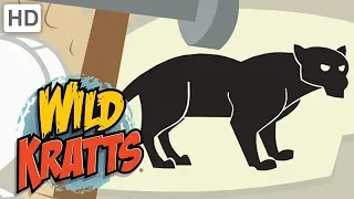 Wild Kratts - Best Season 1 Moments! (Part 3) | Kids Videos