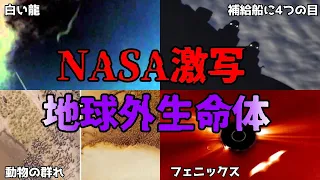 【睡眠用】NASA激写！地球外生命体【ゆっくり解説】