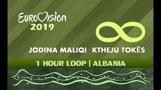1 HOUR LOOP | ALBANIA | EUROVISION 2019