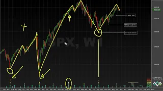 Bulls or Bears? - Hurst Cycles Market Update - 21 August 2023