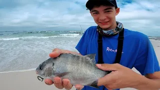 Galjoen Catches in Pearly Beach/Kob/Mulloway Fishing Strand Reefs