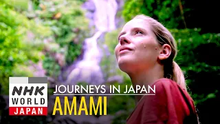 Amami Oshima: Beauty in the Rain - Journeys in Japan