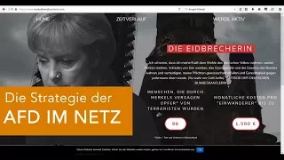 Die Strategie der AFD im Netz