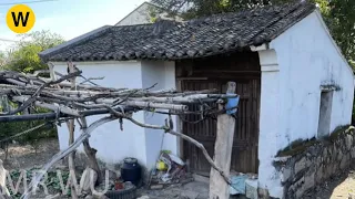 After suffering from depression, the boy renovates the old house in the forest to live in