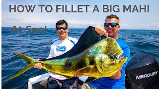 How to Fillet a Big Mahi