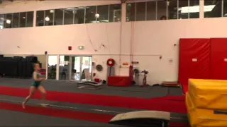 National Level 4   Vault