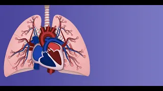 "Persistent Pulmonary Hypertension of the Newborn: Pathophysiology" by Andrea Moscatelli