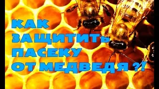 Пасека! Как мы защищаем пасеку от медведя! Некоторые способы!