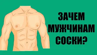 Зачем мужчинам соски?