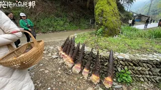 大山里第一次举办/竹筍春笋节，美食、美景还有满山挖不完的竹笋