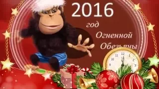 Поздравляю с Новым 2016 годом! С годом Огненной Обезьяны!