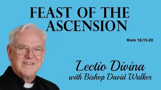 Lectio Reflection - Feast of the Ascension - Mark 16:15-20 (Year B 2024)