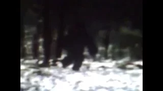 NEW YORK BIGFOOT--2016