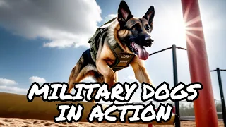 Epic Military Dog Training Exercise #viral #dog #shortvideo #trending #puppy #doglover #viralvideo