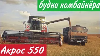 Финал уборки 2022!!! Пшеница всего 30 центнеров!? Работа на комбайне  ACROS 550.