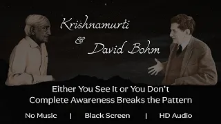 Either You See It or You Don't - It Happens Instantly - J. Krishnamurti & David Bohm | Black Screen