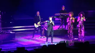 Rick Astley Sheffield Arena 15th April 2019