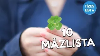 10 mázlista a világból