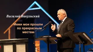 Василий Вакульский - Межи мои прошли по прекрасным местам