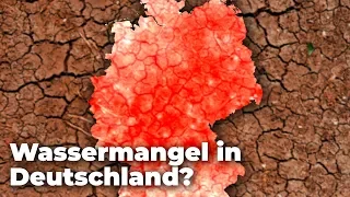 Wird das Trinkwasser in Deutschland knapp? - Folgen der Hitzewelle Sommer 2019 | Clixoom nature