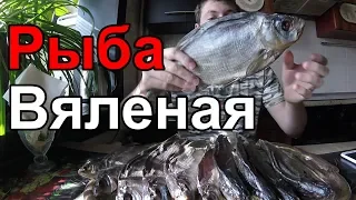 Вяленая Рыба Рецепт Вяленой Рыбы (Вяление Рыбы, Рецепт Вяленой Рыбы)