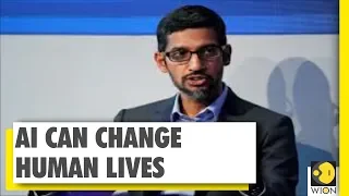 Google CEO Speaks On AI At WEF In Davos | WION | World News | Live News