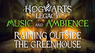 Hogwarts Legacy: Calm Music and Ambience to Relax - 1 Hour
