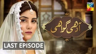 Adhi Gawahi Last Episode HUM TV Drama