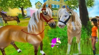 Flat Pancake? - Star Stable Horses Game Let's Play with Honeyheartsc Part 7 Video Series