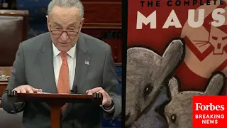 'Truly Orwellian Trend': Schumer Slams 'Far Right' Book-Banning, Brings Up Maus Controversy