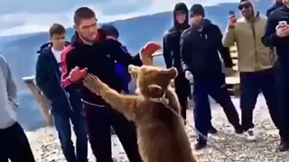 Khabib🦅Vs Russian Bear 🐻 #subcribe