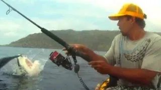 Leaping Shark Steals Scared Fisherman's Catch / Funny Video / HD