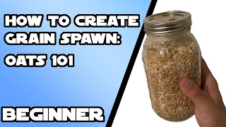 Beginner Guide to Grain Spawn: Oats