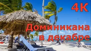 Доминикана в декабре (4К)