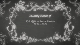 Slideshow of K-9 Officer Seara Burton