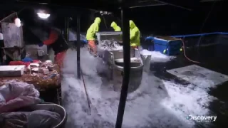 Американские горки в воде | Смертельный улов | Discovery Channel