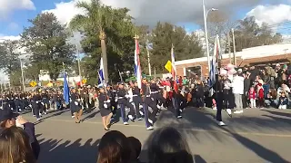 desfile de las piedras (6)