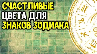 Какой цвет выбрать каждому знаку зодиака, чтобы привлечь счастье, благополучие в свой дом