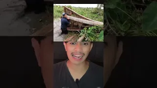 MAKHLUK APAKAH DIDALAM POHON KELAPA INI⁉️😱 (pt 2) | Ale Khin #shorts #filmpendek