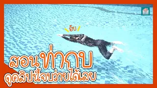 สอนว่ายน้ำท่ากบ อธิบายละเอียดมากๆ How to Breaststroke