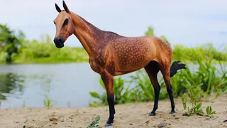 КРАСИВЫЕ ЛОШАДИ НА ПРИРОДЕ!BEAUTIFUL HORSES IN NATURE-ЛОШАДИ БРЕЕР-БРЕЙЕР-HORSES BREYER/ЛОШАДКИ