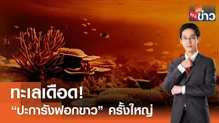 LIVE : ทะเลเดือด “ปะการังฟอกขาว” ครั้งใหญ่I คนชนข่าว I 02-05-67