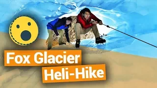 🚁❄️ Fox Glacier Heli-Hike - New Zealand's Biggest Gap Year – Backpacker Guide New Zealand