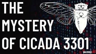 The Mystery of Cicada 3301 | Malicious Life Podcast