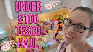 Budget Friendly Tesco Haul | Under £100 | Family of 5 + Meal Plan