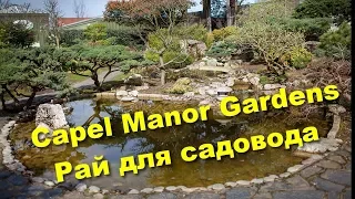 104. Сады Capel Manor - центр садоводства и ландшафтного дизайна.