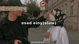 amr diab - osad einy |@bezumie.02| (slowed)