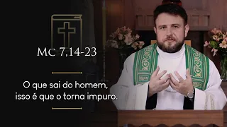 Homilia Diária | Quarta-feira - 5ª Semana do Tempo Comum (Mc 7,14-23)